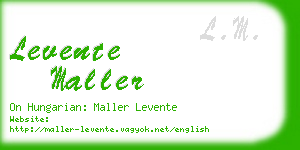 levente maller business card